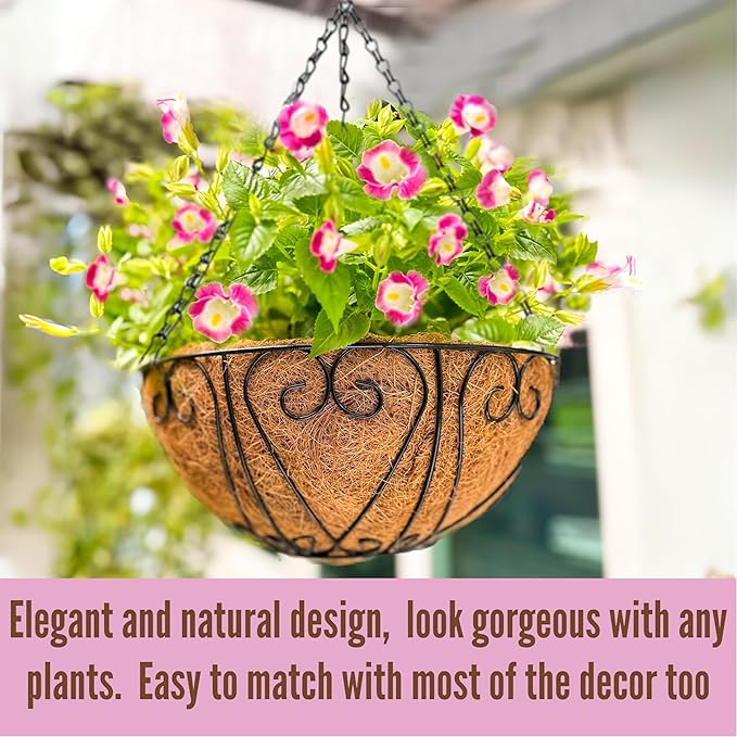 LaLaGreen Hanging Baskets for Plants (12 Inch, 2 Pack) Hanging Flower Pots with Coco Liner, Black Metal Wire Round Basket Plant Holder with Hanger Hook Chain, Outdoor Patio Deck Balcony Garden Decor