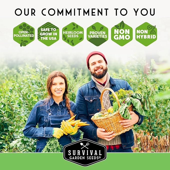 Hydroponic & Indoor Garden Seed Kit – 20 Compact Heirloom Vegetable & Herb Varieties | Apartment, Small-Space, Patio & Vertical Tower Growing | Family Garden Gift – Survival Garden Seeds