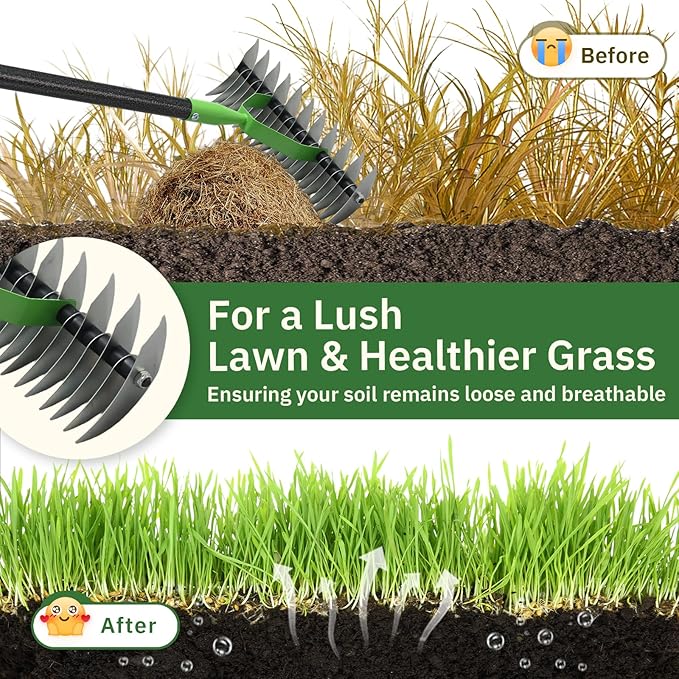 Thatch Rake, 13" Wide Efficient Dethatcher Rake with 55" Adjustable Long Handle, Heavy Duty Steel Metal Dethatching Rakes for Cleaning Dead Grass, Loosening Soil, Lawn Care in Yard Garden