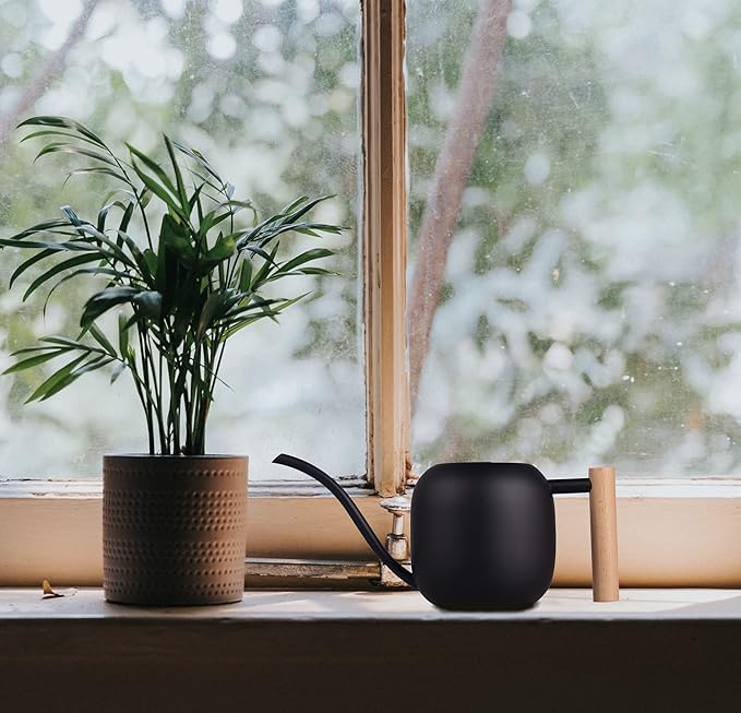 IMEEA Watering Can for Indoor Plants 40oz Stainless Steel Watering Can with Long Spout and Wooden Handle (Black)
