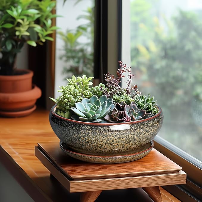 SQOWL Succulent Pots - 8 Inch Ceramic Bonsai Pots, Round Shallow Planter with Drainage Hole and Saucer, Succulent Indoor Planter, Bowl Planters Outdoor, Apartment Decor, Gifts for Women, Brown