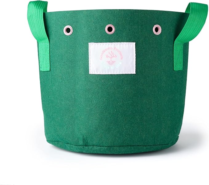 Train N' GRO - 5 Gallon Sustainable Aeration Non-Woven Grow Bags w Low Stress Training Holes - 3 Pack, for Grow Tent / Indoor / Outdoor. Superior Drainage + Breathability for Plants Vegetables + Fruit