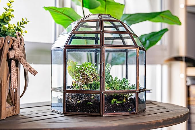 Urban Born Handmade Birdcage Style Glass Terrarium in Bronze — 10" x 9" x 9"