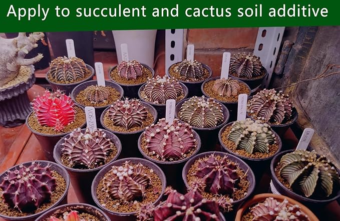 Gardening Akadama Soil - Cactus, Bonsai, Succulent Soil Additives Landscaping Vase Fillings (1/4 inch, 5 QT)