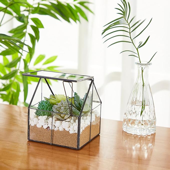 Set of 2 Mini Glass Terrarium Planter with Lid, Small Greenhouse Terrarium Jar, Glass Container Pot, Tabletop Succulent Small Cacti Air Plant Planter for Indoor Home Garden Office Decor