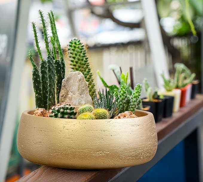 Olly & Rose Large Ceramic Planter Bowl Shallow Plant Pot - Gold Flower Pot Indoor and Outdoor Decorative Bowl Garden and Home Décor