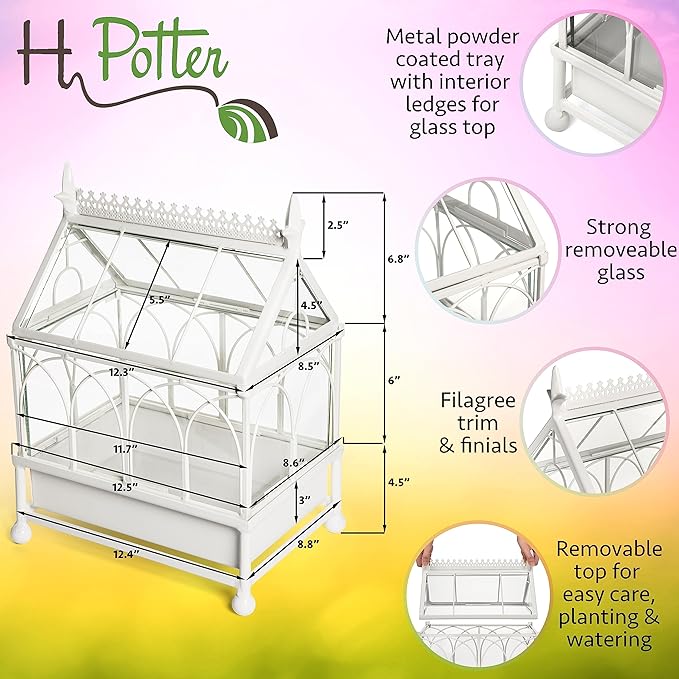 H Potter Glass Terrarium Succulent Planter Wardian Case Plant Container Metal Tabletop Off White