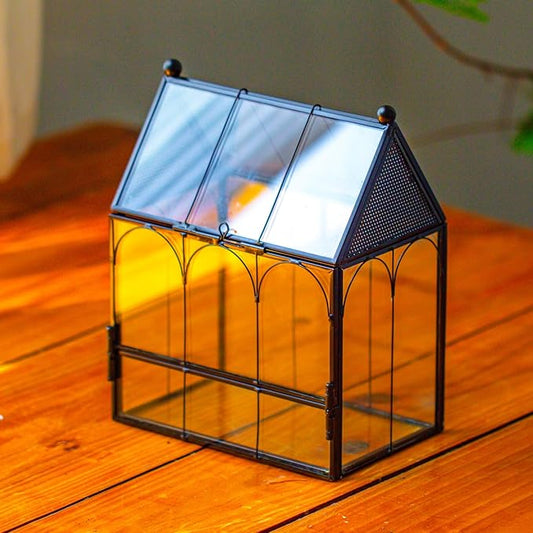 NCYP Small Glass Terrarium Enclosure with Mesh for Jumping Spiders, Micro House Shaped Succulent Plants Terrarium, Home Decor Black, 5.8" x 3.8" x 7" (No Plants)