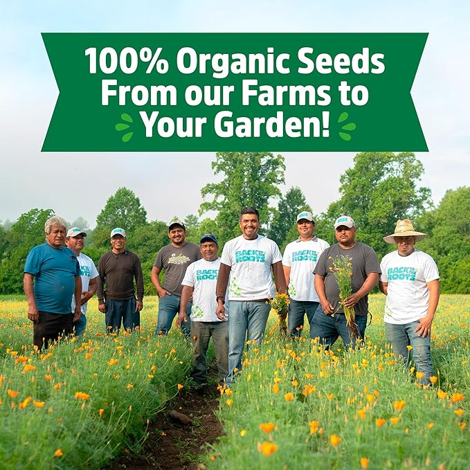 Back to The Roots Heirloom Organic, Non-GMO & USA Grown Seeds, 30ct Herb, Fruit, and Veggies, Assortment May Vary, Guaranteed to Grow