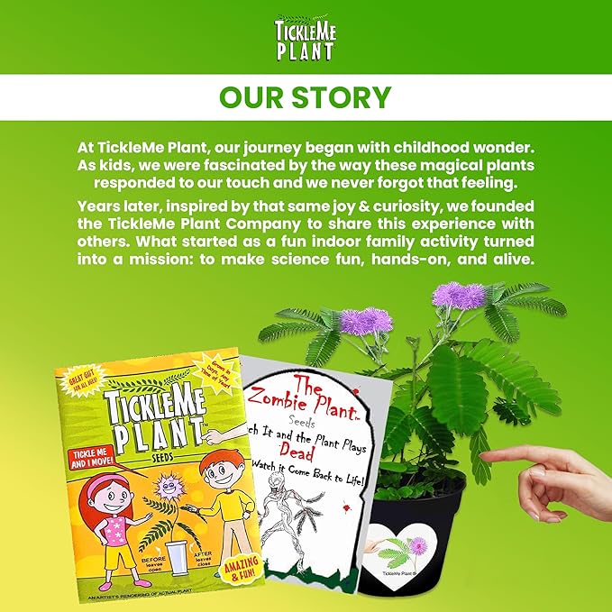 TickleMe Plant Birthday Party Favors (Pack of 2) | Leaves Fold When You Tickle It, Reopen in Minutes | Kids Plant Growing Kit with Indoor Plants Seeds, Live Plants, Grow Kit, Gardening for Kids