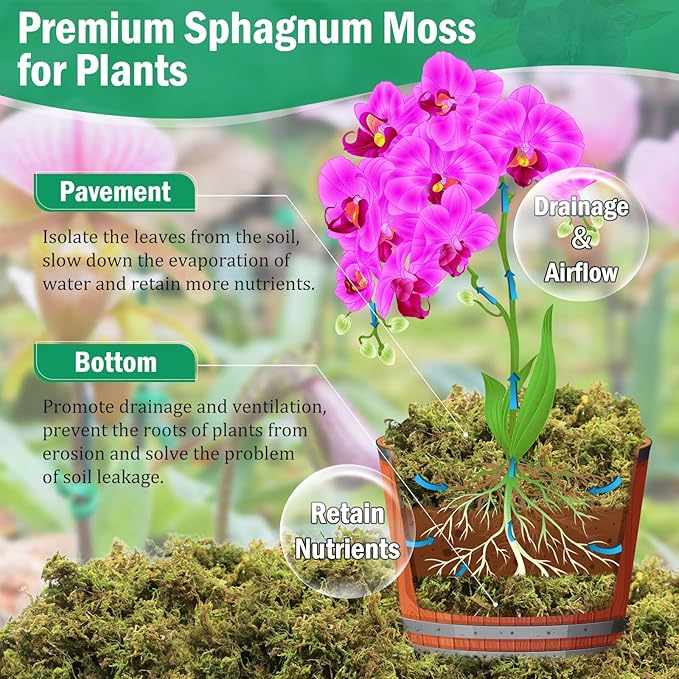Riare 2.8LBS Premium Sphagnum Moss for Plants- 55QT Natural Dried Plant Moss for Potted Plants, Orchid Moss for Repotting, Soft Green Decorative Moss for Succulents, Reptiles & DIY Crafts