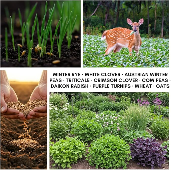 No-Till Cover Crop 10 Seed Mix - Winter Rye, White Clover, Austrian Winter Peas, Triticale, Crimson Clover, Cow Peas, Daikon Radish, Purple Turnips, Wheat, Oats, (1 Pound)