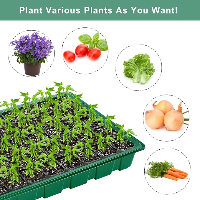 Elcoho 6 Pack Seed Starter Tray Kit 40 Cells Seedling Trays with Humidity Dome and Base Mini Propagator Plant Nursery Pots Total 240 Cells for Greenhouse Plants Growing, Green