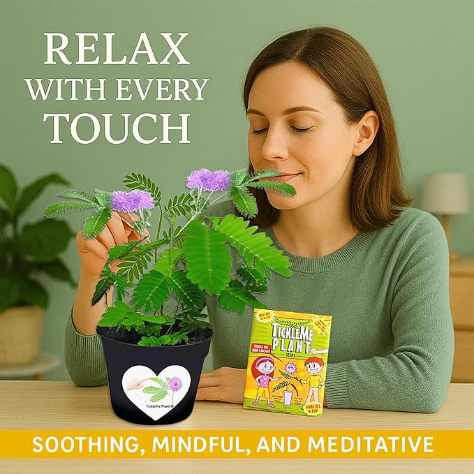 TickleMe Plant Seeds for Indoor Planting (2-Pack) – Unique Stocking Stuffer Idea | Leaves Close When Touched, Reopen in Minutes – Easy Indoor House Plant Seeds, Can Flower, Includes 10 Fun Activities