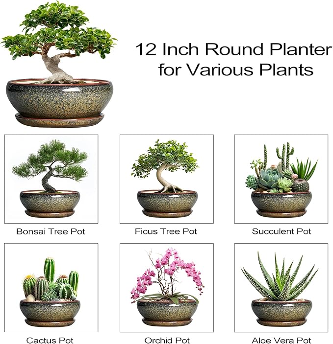 SQOWL Ceramic Bonsai Pots - 12 Inch Succulent Pots with Drainage Hole and Saucer, Large Succulent Planters, Shallow Planter Indoor Outdoor, Round Planter Bowl, Home Decor, Gift for Plant Lover, Brown