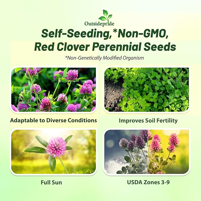 Outsidepride Perennial Red Clover Seeds - 10 lbs. Self-Seeding, Nitrocoated, Inoculated Clover Seeds for Lawn, Yard, Forage, Pasture, Hay, Nitrogen Fixation, Soil Improvement & Crop Rotation Programs