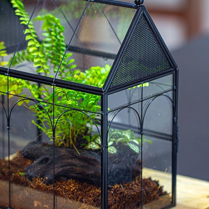 NCYP Glass Enclosure with Vent Holes for Insect, Jumping Spiders - 7.5" x 4.9" x 9" Small Closed Front Opening Door Succulent Terrarium - House Shape Habitat, Home Decor Black (No Plants)