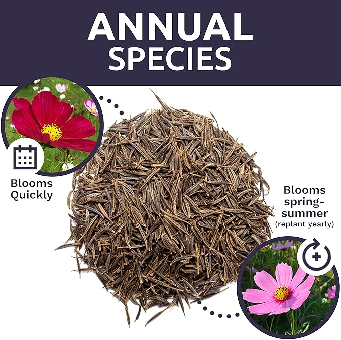 Bulk Cosmos Seeds Wildflower Mixture - 5 Pounds - Over 400,000 Seeds - Pink, Yellow, Orange, Red, Purple and White Mixed Species!
