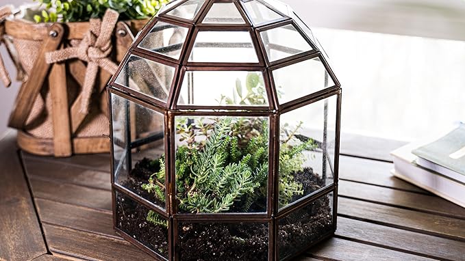 Urban Born Handmade Birdcage Style Glass Terrarium in Bronze — 10" x 9" x 9"