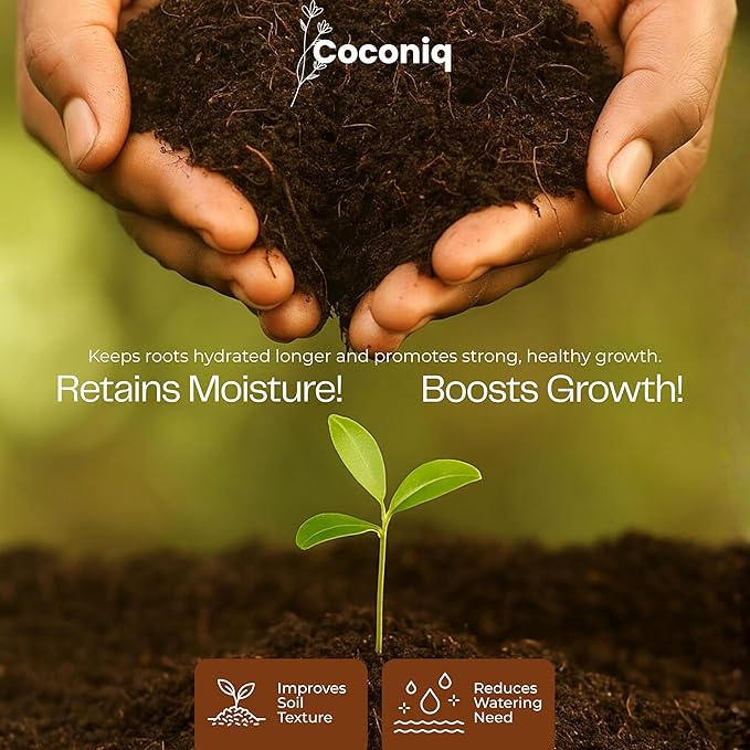 Premium Coco Coir Bricks 12 Pack - Lightweight Cocopeat for Garden Soil, Compressed Coconut Fiber Brick for Potting, Gardening, Planting, Seed Starting, Indoor & Outdoor Plants, Set of 12