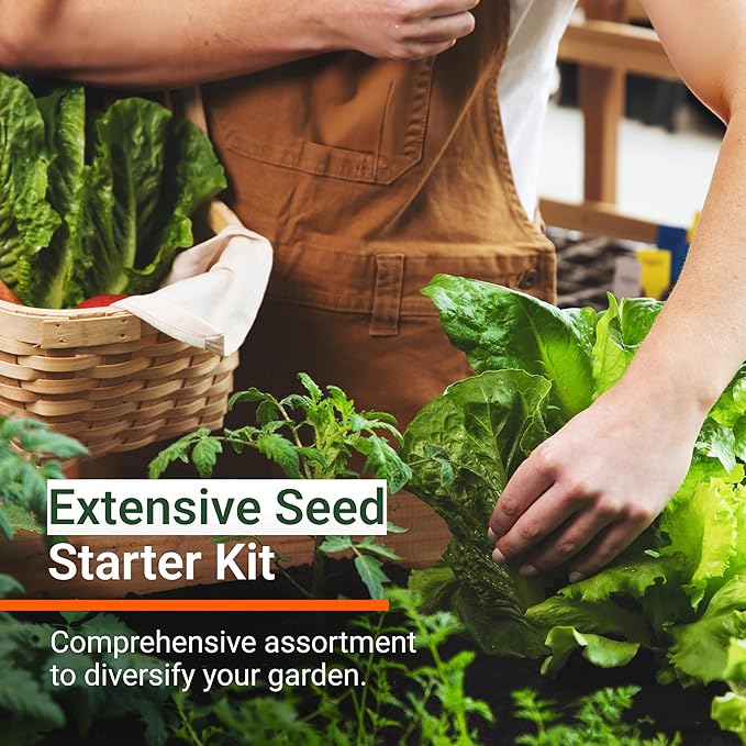 Open Seed Vault 4,000 Non GMO Heirloom Vegetable Seeds for Planting Vegetables and Fruits - 12 Variety Pack of Herb Seeds for Planting Outdoors - Gardening Supplies, Survival Gear, Prepper Kits