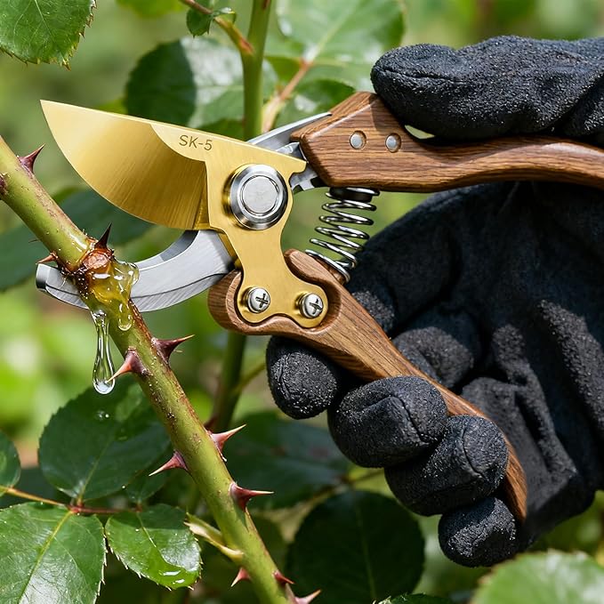 2 Pack Garden Pruning Shears, Heavy Duty Garden Scissors & Clippers for Wood & Tree Trimming, Safety Lock, for Cutting Flowers, Trimming Plants, Picking Fruits (Gold)