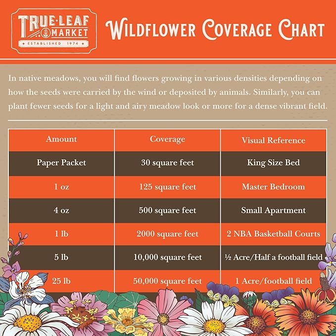 Southwestern Wildflower Seeds Bulk – 1/4 lb, 160,000+ Seeds – Native Desert Flower Mix – Annual & Perennial Wildflower Seed for Pollinators and Dry Climates