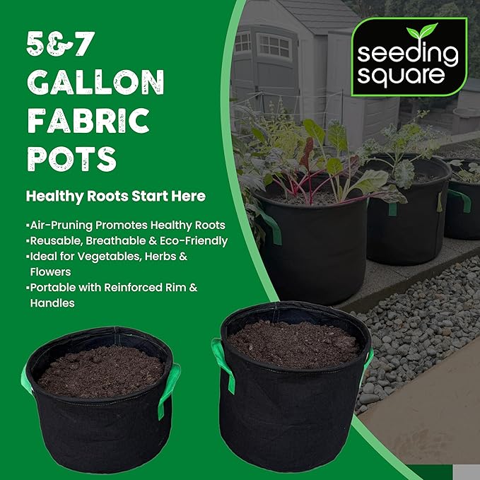 Seeding Square Fabric Grow Bags (5 Gallon) – Durable, Reusable Air-Pruning Plant Pots for Vegetables, Fruits & Herbs – Eco-Friendly Breathable Planter Bags for Healthy Roots & Bigger Harvests