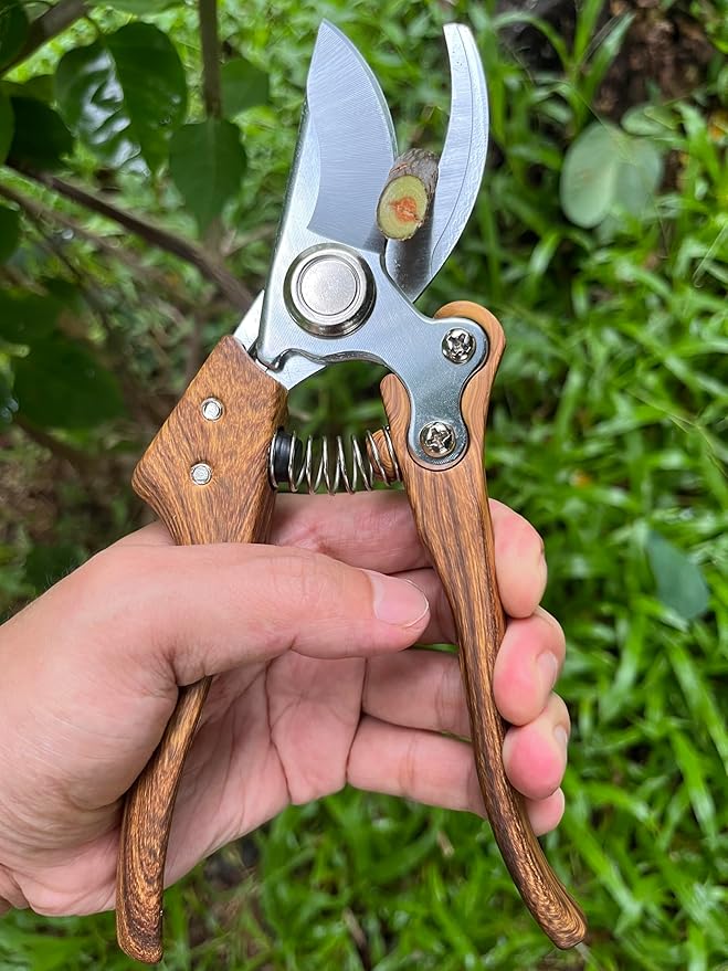 Pruning Shears, Flower Cutters for Stems, German Stainless Steel Blades, 1 inch Cut Capacity, Garden Snips with Non-Slip Handle, Lightweight & Ergonomic Professional Garden Tools for women