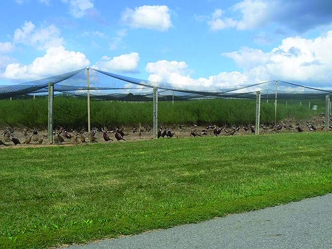Stromberg’s 2” Mesh Heavy Duty Knotted Aviary Netting, UV Resistant Polyethylene Fiber for Game Birds, Pheasants & Poultry, 85 Lbs Break Strength Durable Against Weather and Predators, Size 25' x 50'