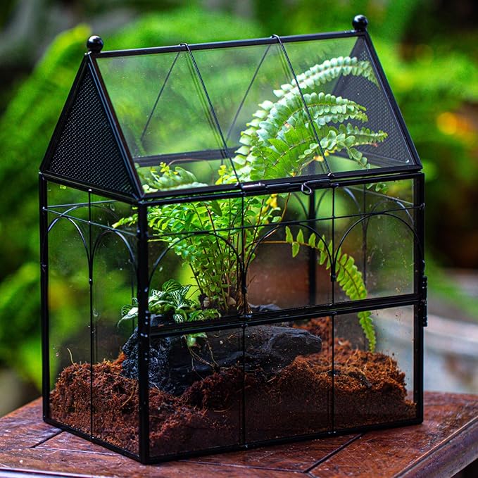 NCYP Glass Enclosure with Vent Holes for Insect, Jumping Spiders - 7.5" x 4.9" x 9" Small Closed Front Opening Door Succulent Terrarium - House Shape Habitat, Home Decor Black (No Plants)