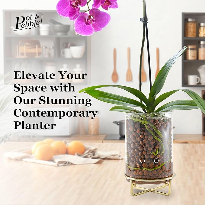 Pot & Pebble - C9 Glass Planter with Decorative Metal Base - Plant Propagation Station with Water Level Control - Plant Cutting Holder for LECA Clay Pebbles/Similar Media - Semi Hydroponic Planter
