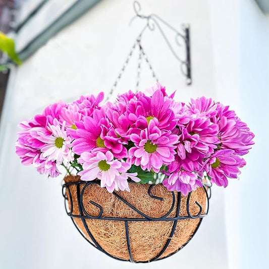 LaLaGreen Hanging Planter for Outdoor Plants (16 Inch, 2 Pack) Hanging Baskets with Coco Liner, Black Metal Wire Flower Basket Pots with Hook Hanger Balcony Porch Farmhouse Country Style Garden Decor