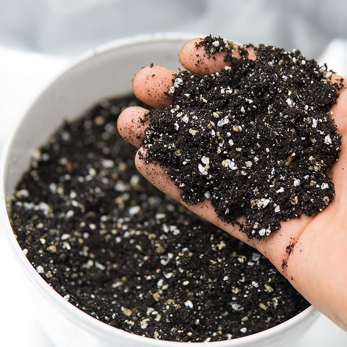 Bulk Horticultural Grade Perlite - Ten 8 Quart Bag ~2 Lbs Each - (~1/8 Inch Particles) - Soil Amendment Additive - for Growth, Aeration & Drainage for Potting Mix