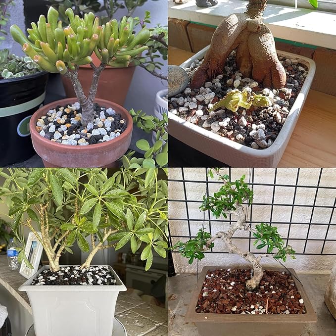 Organic Pumice for Bonsai and Horticultural 100% Natural- (3 gallons, 3/8 inch)