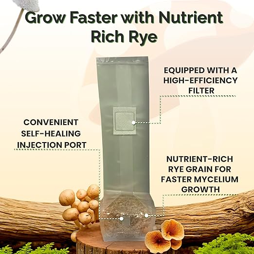 MycoHaus Mushroom Growing Kit with Injection Ports | Sterilized Rye Grain | Magic Indoor Grow Bags for Mushrooms | Home Cultivation Supplies | Without Spores | 1 Pound (36 Pack)