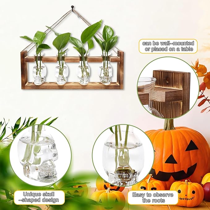 Plant Propagation Stations Halloween Skull Plant Terrarium Kit Glass Vases Gift for Father Air Planter Home Office Decor