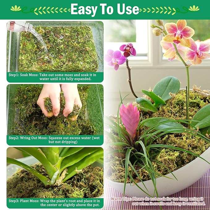Riare 2.8LBS Premium Sphagnum Moss for Plants- 55QT Natural Dried Plant Moss for Potted Plants, Orchid Moss for Repotting, Soft Green Decorative Moss for Succulents, Reptiles & DIY Crafts
