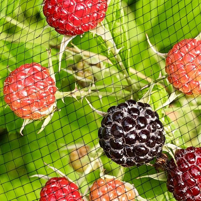 Garden Netting, 15ft x 50ft Black Bird Netting Heavy Duty,Rabbit,Squirrels,Anti Birds,Larger Bees,Deer,Chicken,Cardinals，Animal Fencing for Fruit Tree & Vegetable Garden