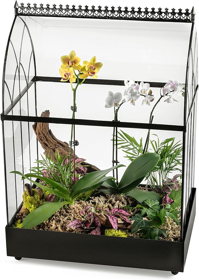 H Potter Large Terrarium Wardian Case - Glass Plant Container