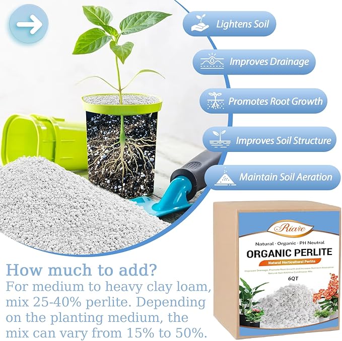 Riare 6 Quarts Organic Perlite for Plants - Horticultural Soil Amendment for Potting Mix, Natural Chunky Soil Additive Conditioner to Improve Root Growth, Drainage and Ventilation