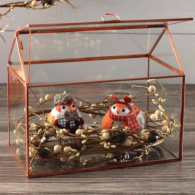 D'Eco Glass House Centerpiece (10"x6"x8") - Tabletop Planter Terrarium for Home Decor & Wedding Letterbox - Fill w/Succulents, Holiday Decorations, Mini Trees & Ornaments - Xmas Gift for Plant Lovers