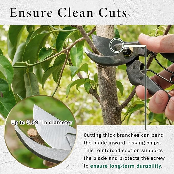 Professional Forged Bypass Pruning Shears 7.9" Japanese Hand Garden Scissors Made in Japan (Cusion-Spring Model)