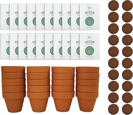 BUZZY Seeds Gardening Kits|Sunflower Seeds to Plant|Flower Starter Kit for Kids & Adults|Terracotta Mini Grow Pots|Bulk 20 Pack|Guaranteed to Grow|Wedding Favors|Teachers Gift