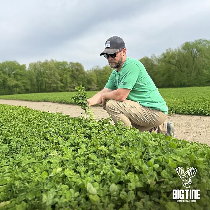Big Tine Food Plot Mix, Deer Attractant, Foundation Clover, Premium Clover Mix, 4 lbs Bag, Perennial, Great for Food Plots, High Drought Tolerance