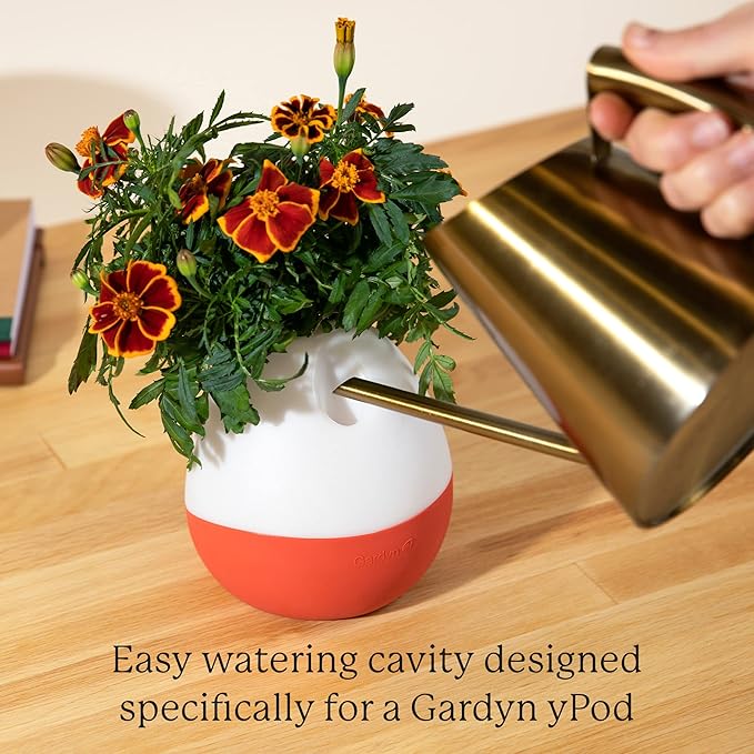 Gardyn Vase Complete Kit - Red Amaranth | Designed for use with Gardyn Hydroponics Growing System Kits & Vertical Garden Hydroponic Gardens | Bring Gardyn’s Indoor Plants to All Areas of Your Home