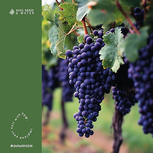 Soil Seed & Water Bacchus Organic Fertilizer for Grapevines – Concentrated Soil Amendment for Vineyards & Grape Fruit Production - OMRI Listed Organic Fertilizer