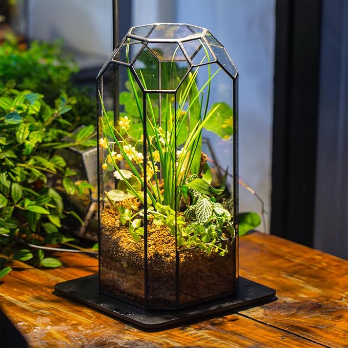 NCYP Open Glass Geometric Terrarium for Plant, Succulent, Cacti - 5.5"x5.5"x12.8" Indoor Tall Octagon Glass Planter, Home Garden Office Vintage Decoration, Micro Landscape (Terrarium Only)