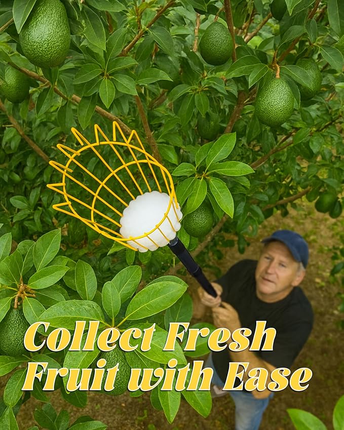 6.5FT Fruit Picker, Apple Picker Tool with Adjustable Pole and Basket, Long Reach Mango Grabber Tool, Tree Fruit Catcher for Picking Lemon Pear Orange Avocado Peach Citrus