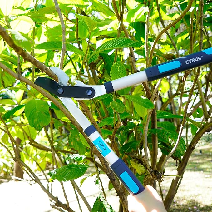 CYRUS Loppers for Tree Trimming,28 inch- 41 inch Extendable Lopper Tree Branch Cutter,Garden Loppers with 2 inch Thick Branch Carbon Steel Sharp Blade with Compound Action,Non-Slip Long Handle